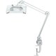3 Diopter Magnifying Lamp 8069W 110V